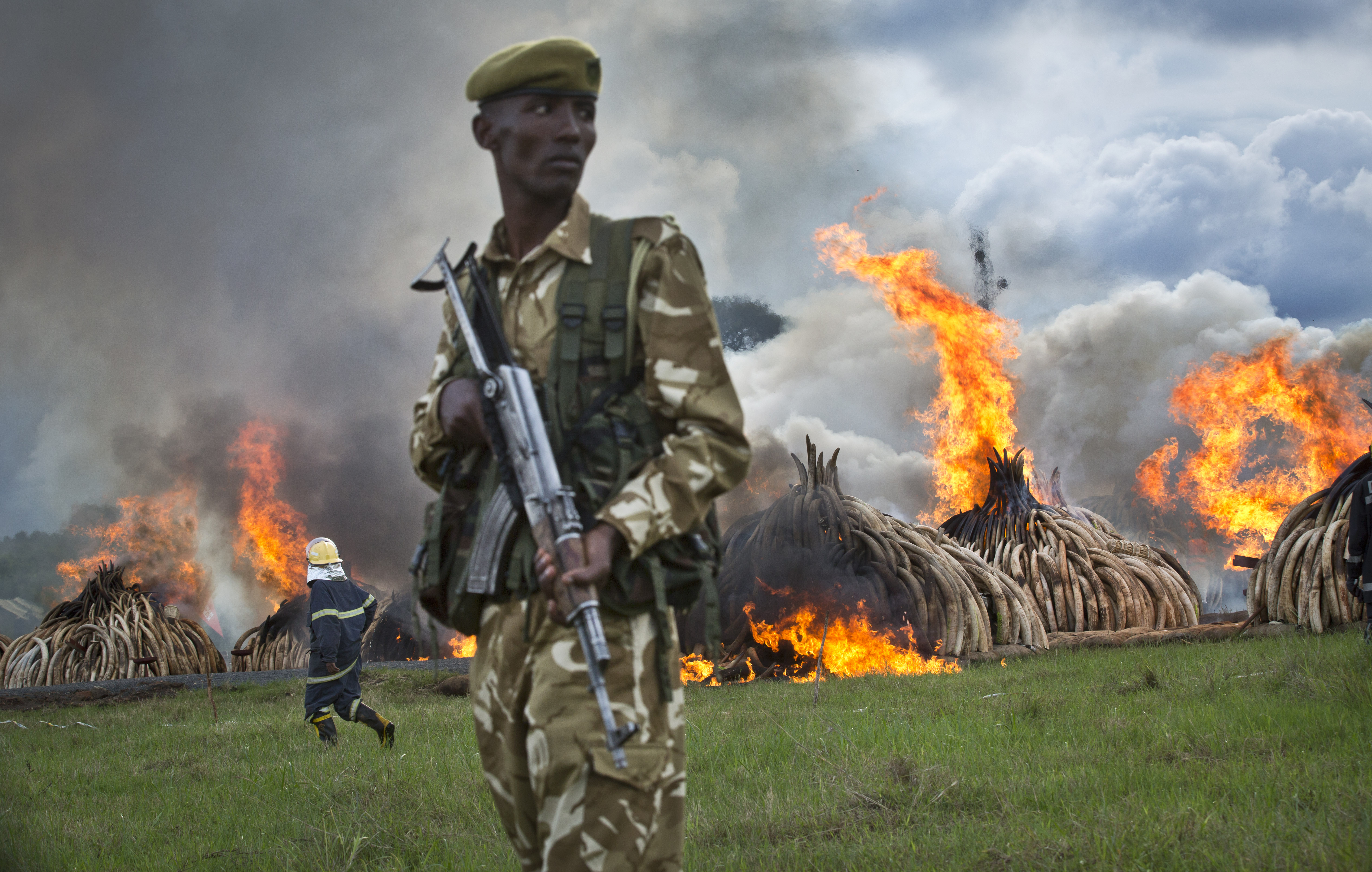 Kenya burns huge pile of ivory tusks to protest poaching