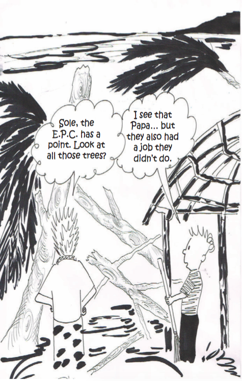 Samoa Observer Cartoon