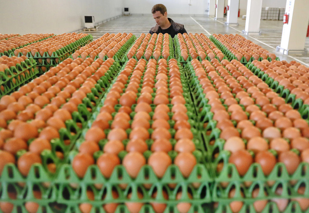 Widening egg scandal hits 17 countries in Europe