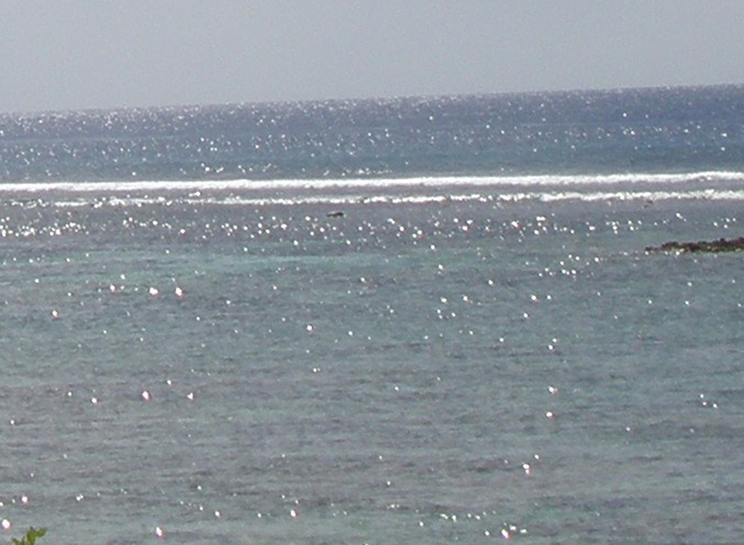 Maua i le sami se tama’ita’i-talavou ua maliu