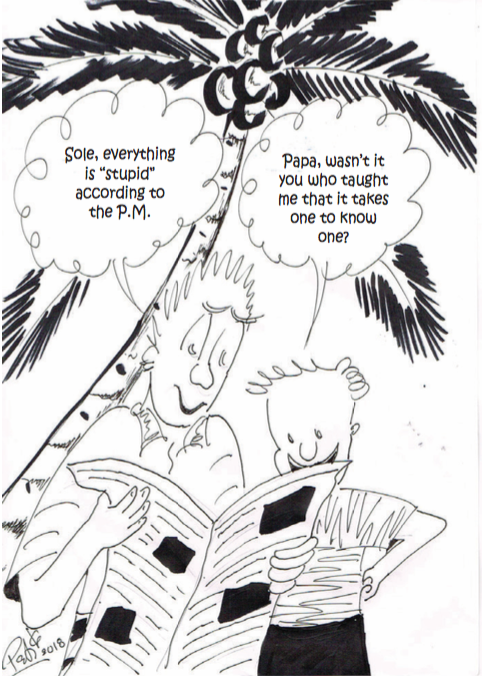 Samoa Observer Cartoon