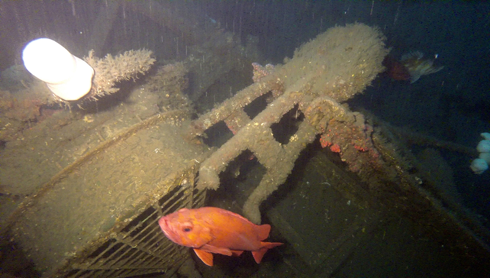 Military ship that sank century ago won't be pulled from sea