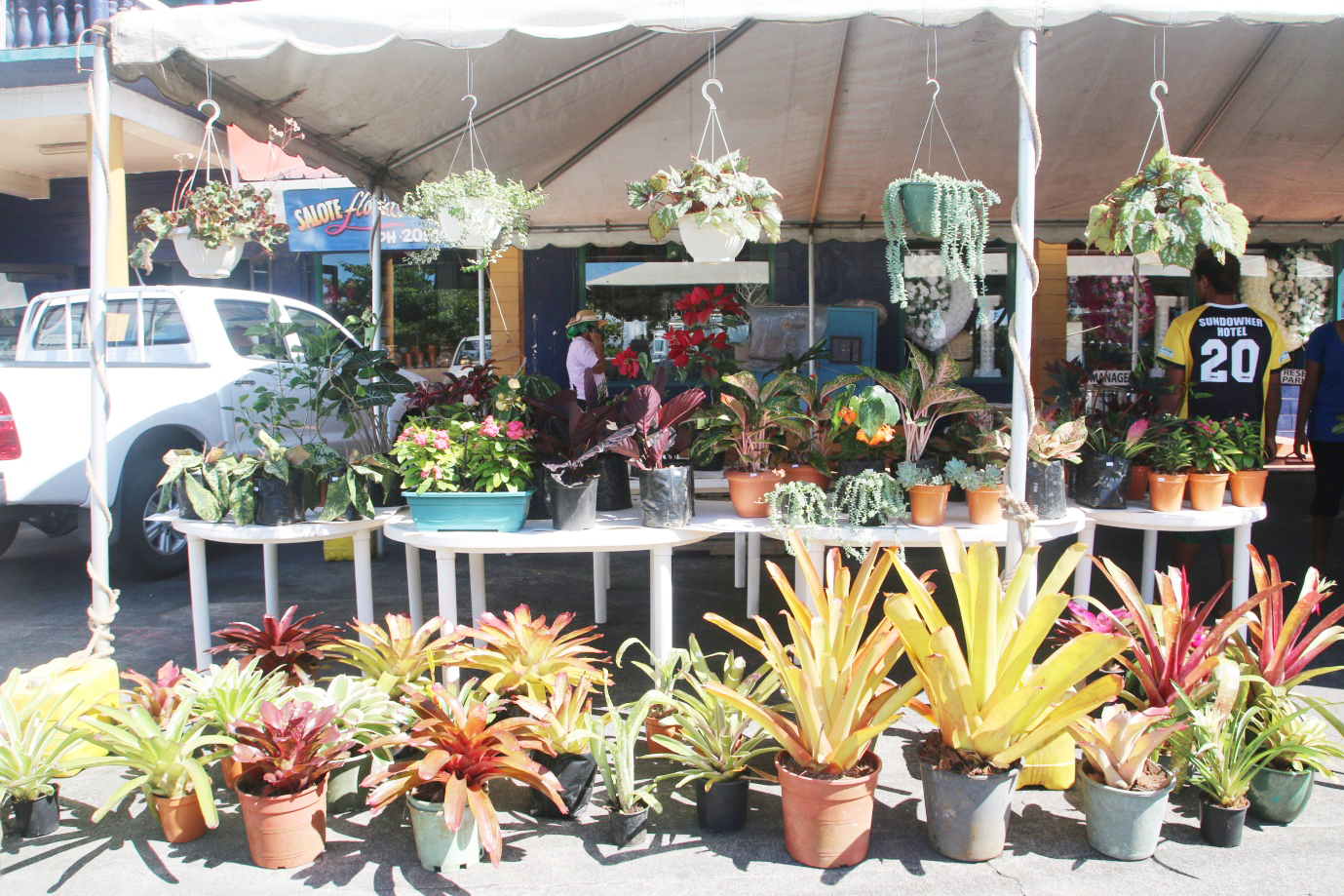 Fa’alauiloa fua o fa’a’ele’elega a le ‘Aufaifa’ato’aga